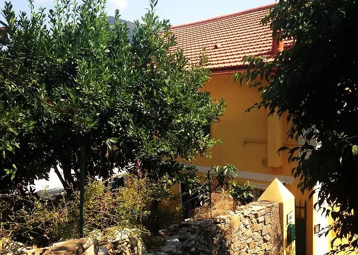 Bbq Lodge